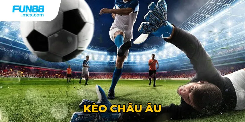 Kèo Châu Âu - Hướng Dẫn Toàn Diện Từ A-Z Cho Người Mới 10 Kèo Châu Âu - Hướng Dẫn Toàn Diện Từ A-Z Cho Người Mới